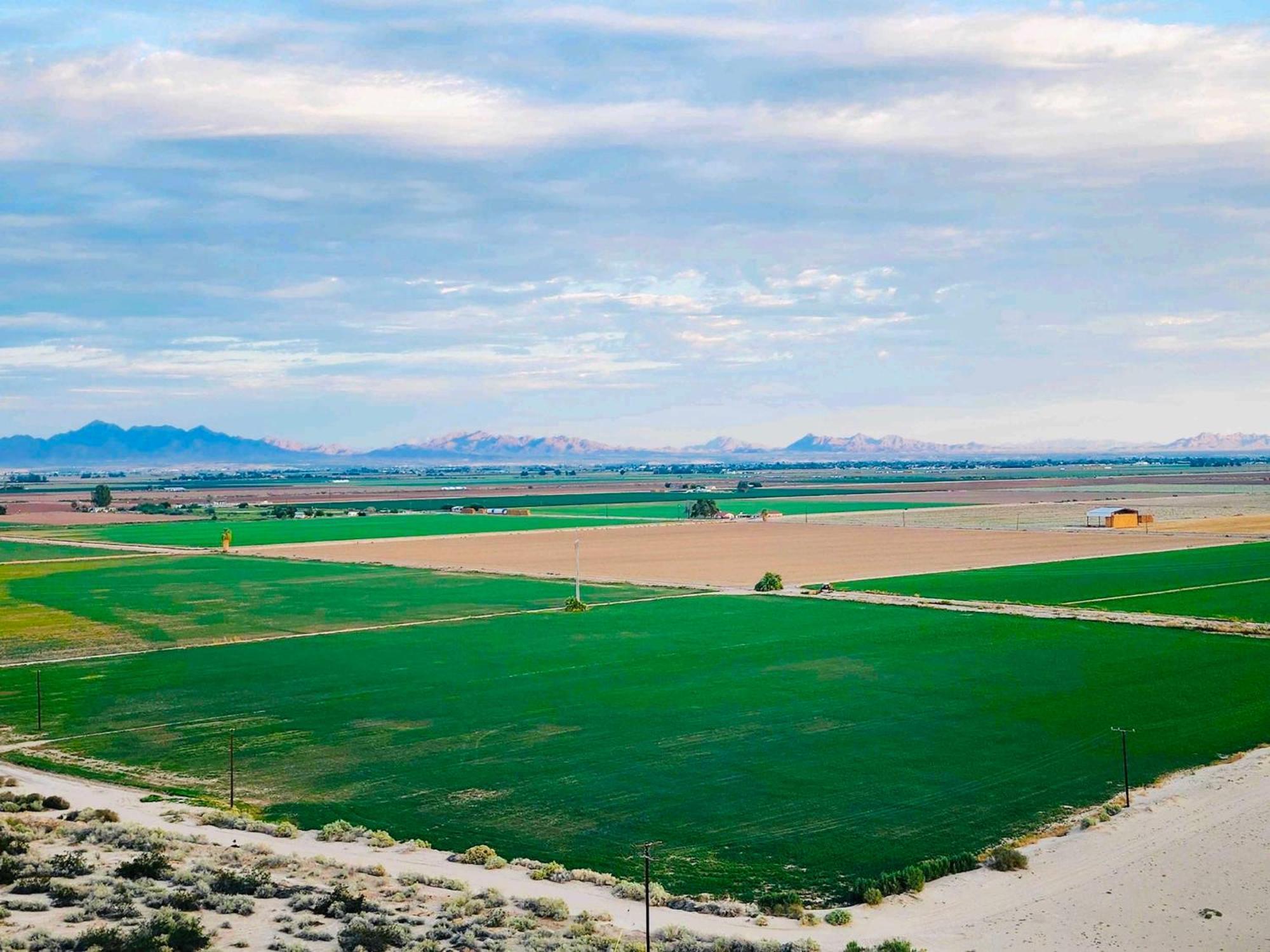 Holiday Inn Express & Suites Blythe By Ihg Bagian luar foto